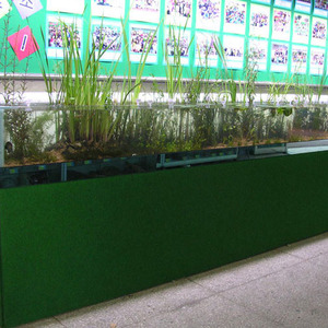 학교로비 수생식물 전시수조
