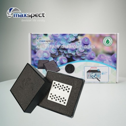 맥스펙트 나노테크 혐기성 박테리아 블럭 (2입)