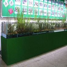 수경식물 수조(초등학교)