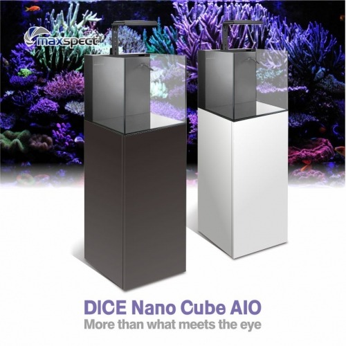 맥스펙트 Dice Nano Cube AIO (수조+조명 셋트)